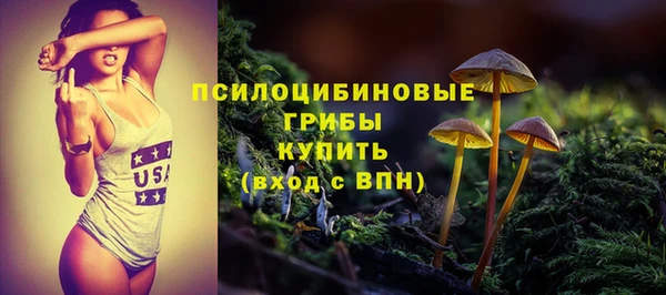 шишки Абдулино