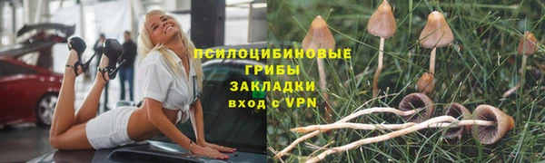 герыч Алексеевка