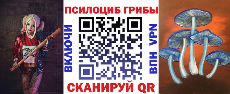 Галлюциногенные грибы мицелий  купить   Новосибирск 